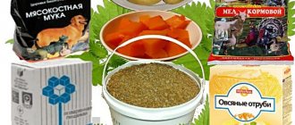 Ингредиенты для мешанки на столе
