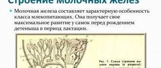Нервные окончания
