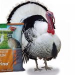 Purina для индюка